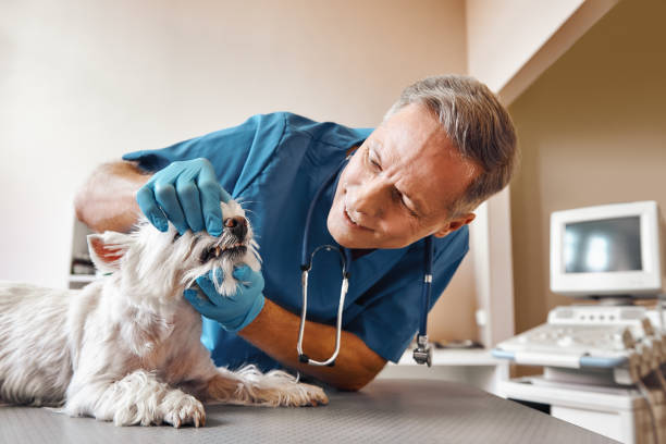 Best Emergency Tooth Extraction in Midland, NC